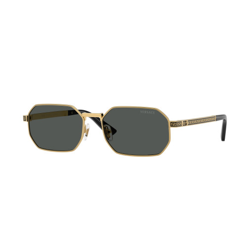 VERSACE VE2297 100287